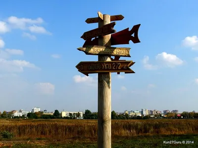 Каток в парке «Птичья гавань» в Омске