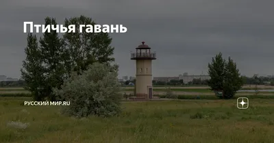 Фото: Птичья гавань, природа, Омск, Природный парк Птичья гавань — Яндекс  Карты