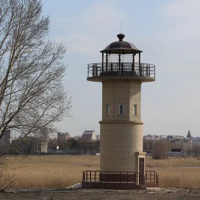 Птичья гавань Омск фото фотографии