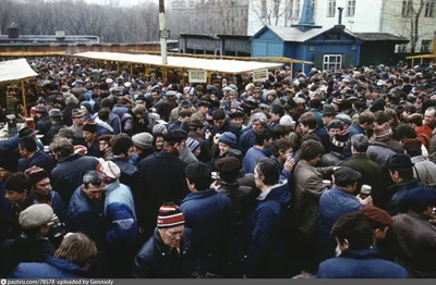 Птичий рынок в Москве - Retro photos