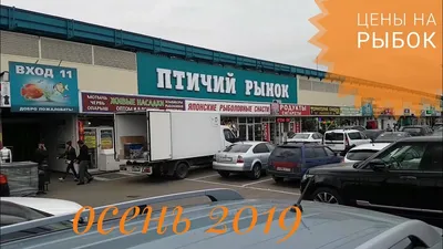 Птичий рынок и Таганка времён СССР и сегодня. 10 фото | Про life в Москве и  не только | Дзен