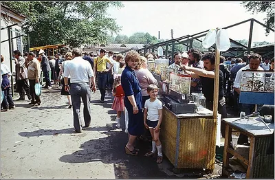 Популярные московские рынки 1990-2000-х: тогда и сейчас