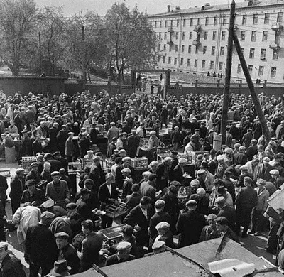 Птичий рынок в москве фото фотографии