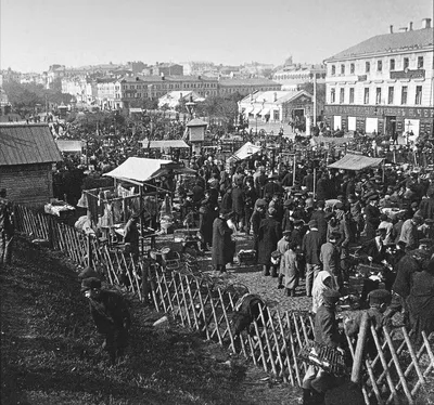 Птичий рынок в Москве (Россия) с фото и отзывами