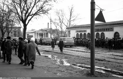 10 фото. Москва времён СССР и сегодня. Птичий рынок в Калитниках | Про life  в Москве и не только | Дзен