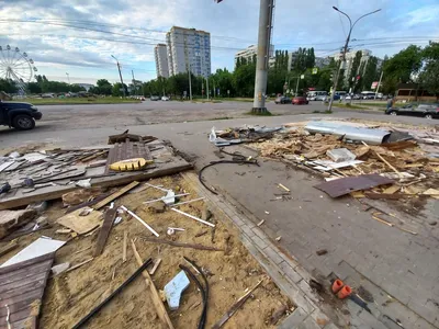 Птичий рынок. Обзор животных. Птичий рынок есть не только в Москве. Рыбки,  птички, хомяки, змеи. - YouTube