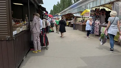 Птичий рынок в Москве (Россия) с фото и отзывами