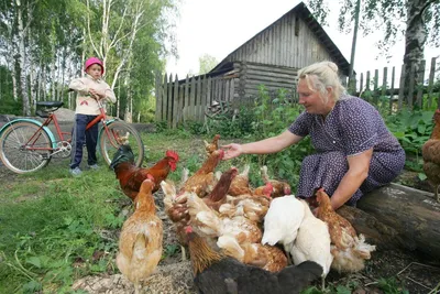 Красивый костюм лисички оранжевое платье Лисичка Белочка Мандаринка  Апельсинка (ID#1308928764), цена: 690 ₴, купить на Prom.ua