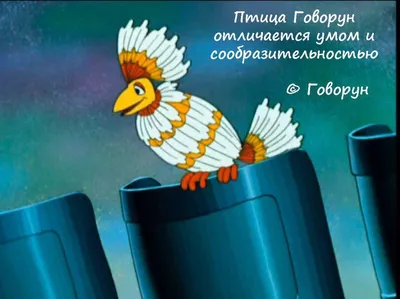 Птица Говорун | Vintage posters, Cartoon, Funny