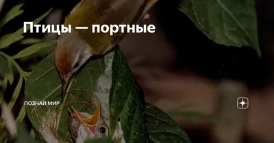 О науке, высшей школе, жизни учёных на Дальнем Востоке : «Путешествуйте и  фотографируйте! Это действительно интересно!»