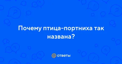 Жизнь птиц\", вышитая картина, художественная гладь – заказать на Ярмарке  Мастеров – 5H1TNRU | Картины, Новороссийск