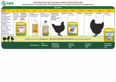 Автоматизация птицеводства Статьи АртПроект