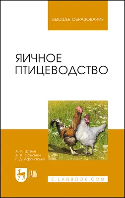 Яичное птицеводство в России — обзор отрасли промышленности |  Птицефабрики.ру