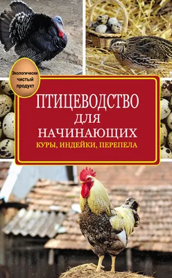 Птицеводство без ошибок. Куры, утки, индюшки, гуси, цесарки и перепела для  начинающих | Интернет-магазин «Книжные новинки»