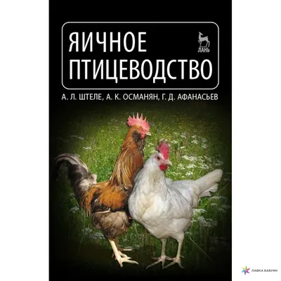 Оборудование для птицеводства. Что выбирают отечественные производители?