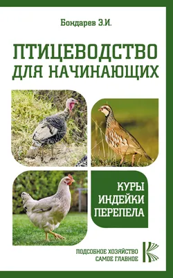 Нетрадиционное птицеводство – перспективное направление фермерства |  ИстраПродукт в Москве