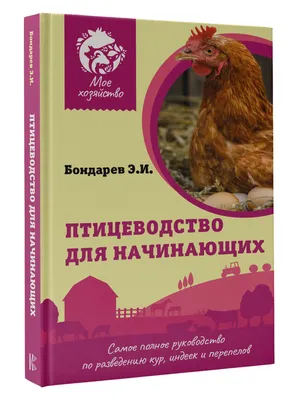 Птицеводство в регионе сегодня нерентабельно | Infopro54 - Новости  Новосибирска. Новости Сибири