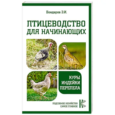 Книга Птицеводство для начинающих. Куры, индейки, перепела купить по  выгодной цене в Минске, доставка почтой по Беларуси