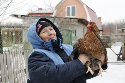 В Кордайском районе стремительно развивается птицеводство