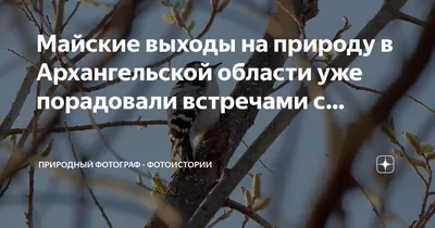 ЕРУ. Учёты в Устьянском районе Архангельской области. Декабрь 2021 г.