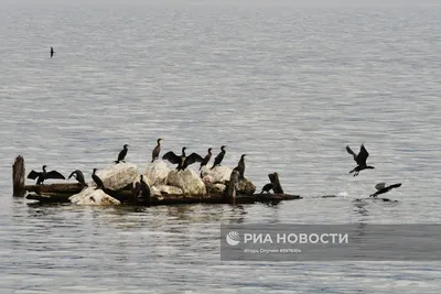 Сели угрожают Байкалу | Наука в Сибири