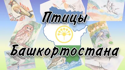 Из-за вспышки птичьего гриппа в Башкирии уничтожат 100 тысяч птиц — РБК