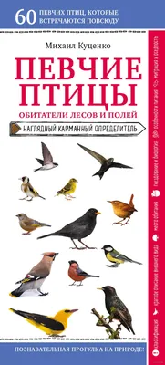 Новости - Официальный сайт Национального парка Беловежская пуща