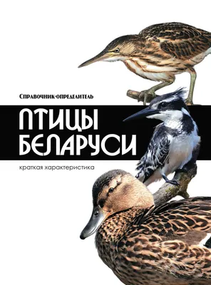 В Беларусь на зимовку: какие птицы прилетают к нам, чтобы переждать холода