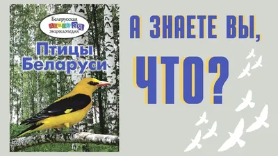 В Беларуси открыт новый для страны вид птиц