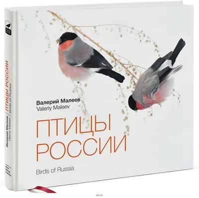 Рекомендации учителя-дефектолога по теме \"Перелетные птицы\". Новости 9  \"Дружная семейка\". Детский сад № 105 г. Гродно