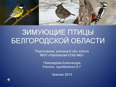 Проект по окружающему миру«Разнообразие природы родного края»,Белгородская  область, 3 класс - YouTube