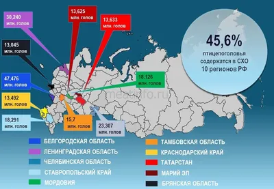 15 августа в Белгородской области открывается охота на болотно-луговую,  водоплавающую, полевую, степную дичь и серую цаплю | Управление  экологического и охотничьего надзора