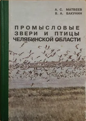 Птицы перестали улетать на юг из Челябинска