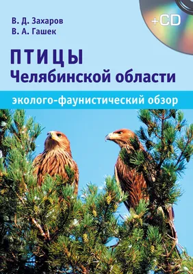 Most beautiful russian birds - YouTube