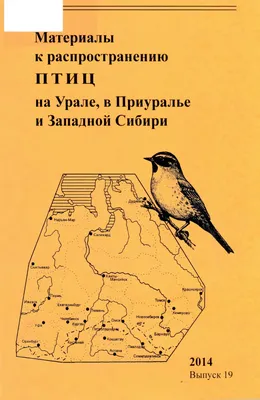 Сумасшедшая птица на плотине | Братья и сестры птицы | Дзен