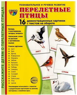 От нашего стола – вашему столу. Чем подкармливать птиц зимой? | Экология |  ОБЩЕСТВО | АиФ Урал