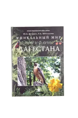 В Махачкале найден краснокнижный белоголовый сип - РИА Дербент