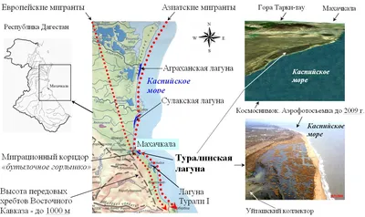 Джип-тур по Дагестану «Царская дорога» (8 дней + авиа или ж/д) - Северный  Кавказ (Северная Осетия, Ингушетия, Чечня, Дагестан, КавМинВоды)