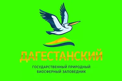 Одно из самых крупных птицеводческих фабрик Дагестана включилось в  национальный проект «Производительность труда» - Телеканал SREDA