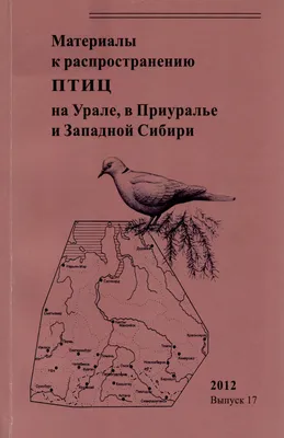 Пути-дорожки | Рассматриваем уральских птиц в музее природы в Екатеринбурге  | Дзен