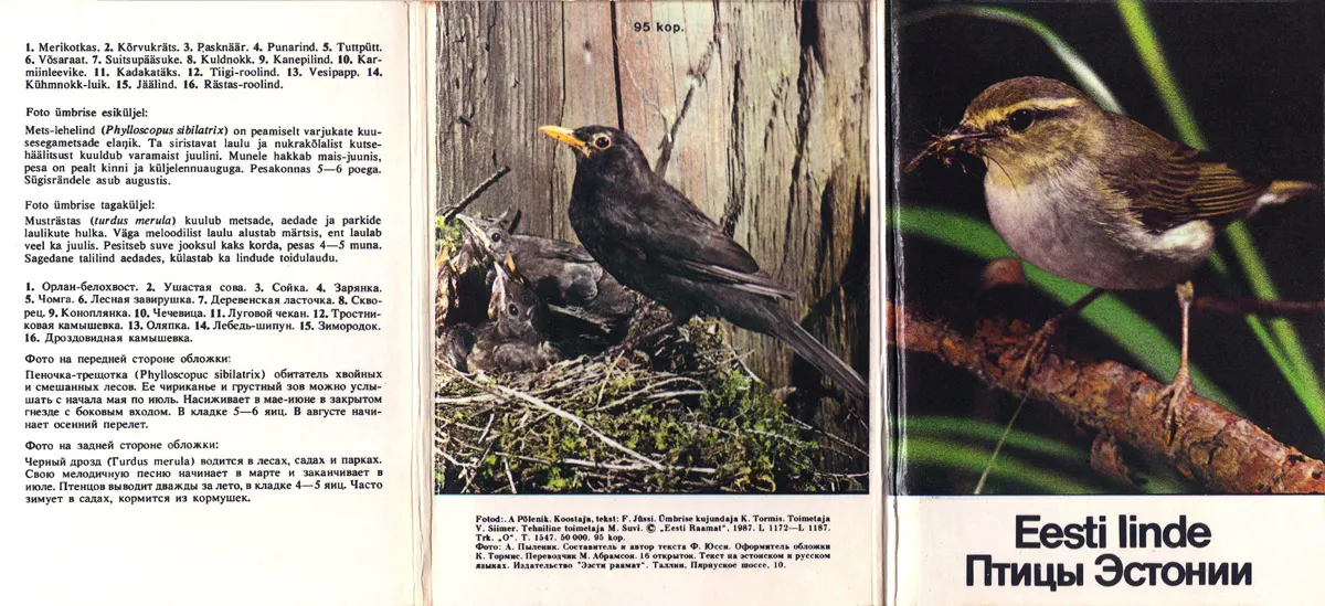 Птицы эстонии. Эстонская птица. Городские птицы в Эстонии. Птицы Эстонии фото и названия.