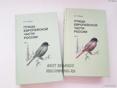 Птицы Европы. Практическая орнитологи... ЁЁ Медиа 21871264 купить за 1 336  ₽ в интернет-магазине Wildberries