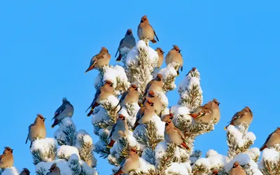 Летят... - Финляндия: активный отдых и всё интересное | Facebook