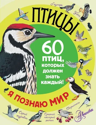 Винтаж: Старинные литографии \"Птицы\", Германия купить в интернет-магазине  Ярмарка Мастеров по цене 350 ₽ – QVCJKBY | Предметы интерьера винтажные,  Калининград - доставка по России