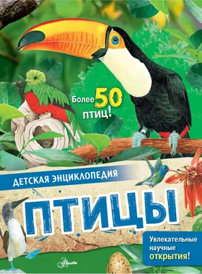 Книга \"Птицы\" Рахчеева М.В - купить в Германии | BOOQUA.de