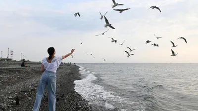 В Сочинском нацпарке поймали браконьера, он охотился на птицу в «дни покоя»  8 сентября 2022 г. - 8 сентября 2022 - sochi1.ru