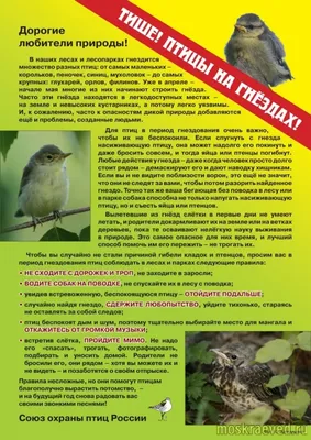 Гнёзда птиц Сибири и сопредельных регионов. Том 3 | Nests of birds of  Siberia and neighboring regions. Vol. 3.