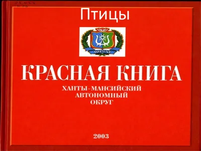 12 ноября – «Синичкин день» – Бюджетное учреждение Ханты-Мансийского  автономного округа – Югры \"Ханты-Мансийский реабилитационный центр\"