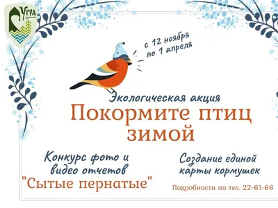 В Калужской области запустили трансляцию из гнезда ласточки - Общество -  Новости - Калужский перекресток Калуга