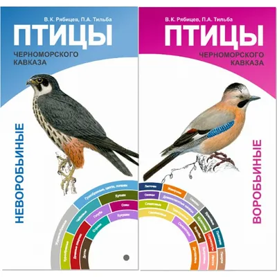 Птицы Черноморского Кавказа. Воробьиные и неворобьиные. Веер-определитель.  Рябицев В., Тильба П. (ID#188338541), цена: 34.56 руб., купить на Deal.by